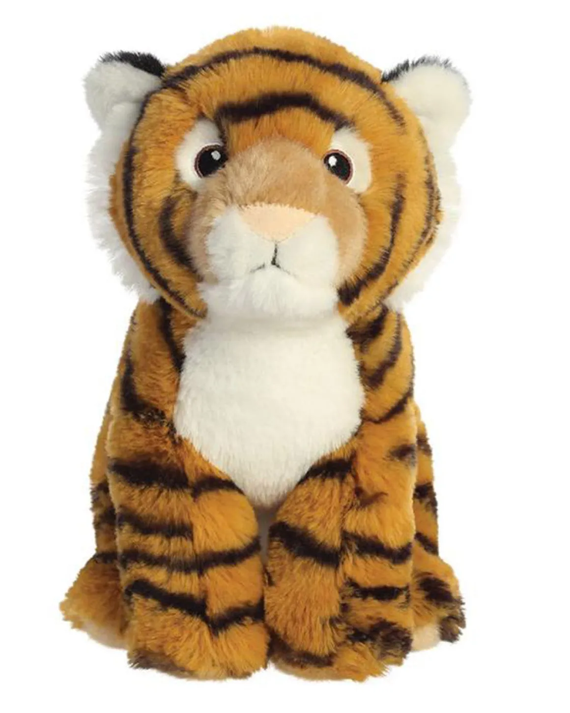 Eco Nation | Bengal Tiger