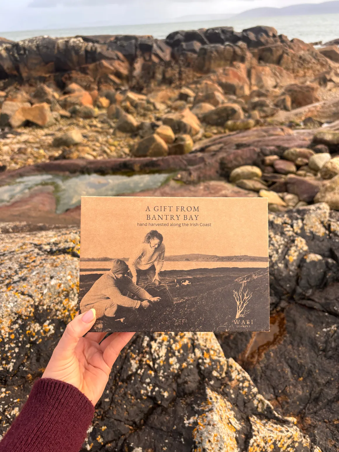 WASI Bantry Bay Giftset
